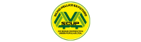 Home scup